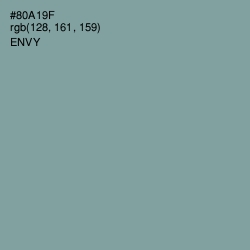 #80A19F - Envy Color Image