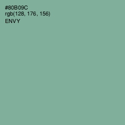 #80B09C - Envy Color Image