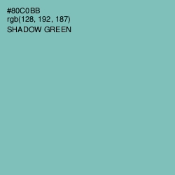 #80C0BB - Shadow Green Color Image