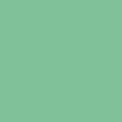 #80C19A - Feijoa Color Image