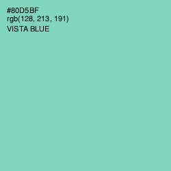 #80D5BF - Vista Blue Color Image