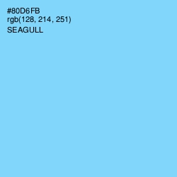 #80D6FB - Seagull Color Image