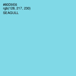 #80D9E6 - Seagull Color Image