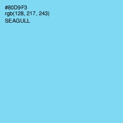 #80D9F3 - Seagull Color Image