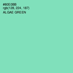 #80E0BB - Algae Green Color Image