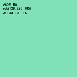 #80E1B9 - Algae Green Color Image