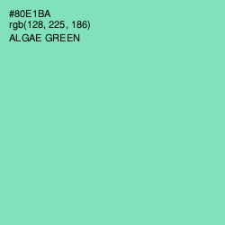 #80E1BA - Algae Green Color Image