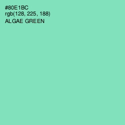 #80E1BC - Algae Green Color Image