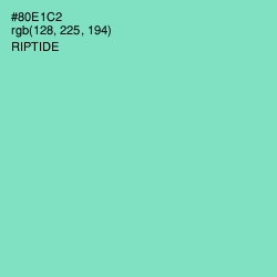 #80E1C2 - Riptide Color Image