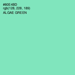 #80E4BD - Algae Green Color Image