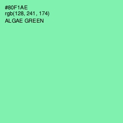 #80F1AE - Algae Green Color Image