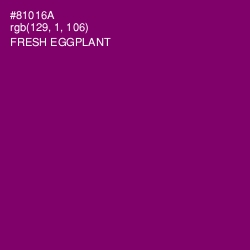 #81016A - Fresh Eggplant Color Image