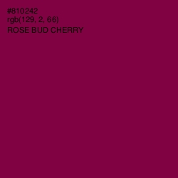 #810242 - Rose Bud Cherry Color Image