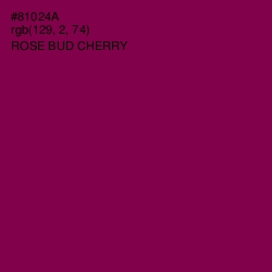 #81024A - Rose Bud Cherry Color Image