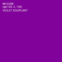 #81029B - Violet Eggplant Color Image