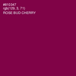 #810347 - Rose Bud Cherry Color Image