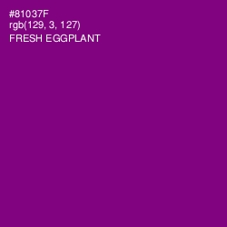 #81037F - Fresh Eggplant Color Image