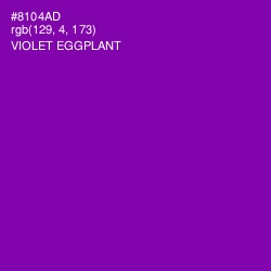 #8104AD - Violet Eggplant Color Image