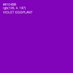 #8104BB - Violet Eggplant Color Image