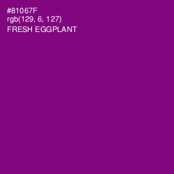 #81067F - Fresh Eggplant Color Image