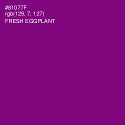 #81077F - Fresh Eggplant Color Image