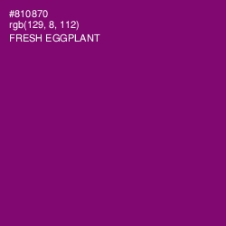 #810870 - Fresh Eggplant Color Image