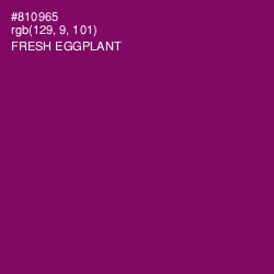 #810965 - Fresh Eggplant Color Image
