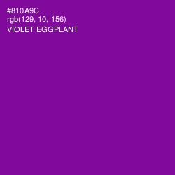 #810A9C - Violet Eggplant Color Image