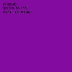 #810C9D - Violet Eggplant Color Image