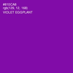 #810CA8 - Violet Eggplant Color Image