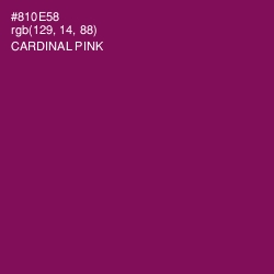 #810E58 - Cardinal Pink Color Image