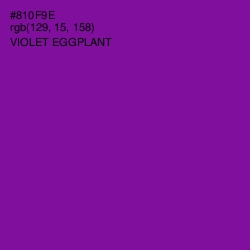 #810F9E - Violet Eggplant Color Image