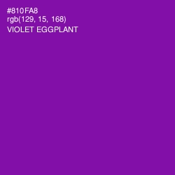 #810FA8 - Violet Eggplant Color Image