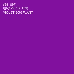 #81109F - Violet Eggplant Color Image