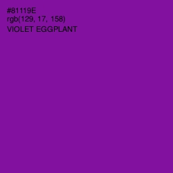 #81119E - Violet Eggplant Color Image