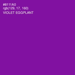 #8111A0 - Violet Eggplant Color Image