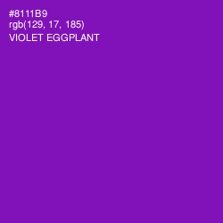 #8111B9 - Violet Eggplant Color Image