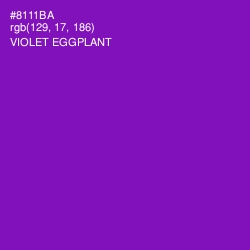 #8111BA - Violet Eggplant Color Image