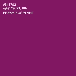 #811762 - Fresh Eggplant Color Image
