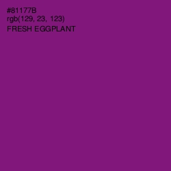 #81177B - Fresh Eggplant Color Image