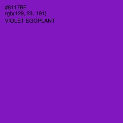 #8117BF - Violet Eggplant Color Image