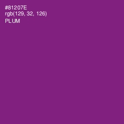 #81207E - Plum Color Image