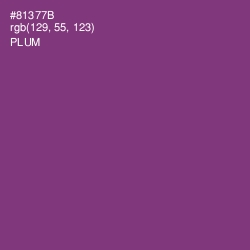 #81377B - Plum Color Image