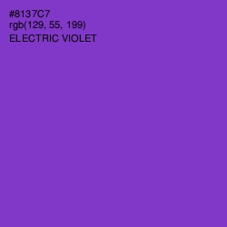 #8137C7 - Electric Violet Color Image