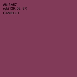 #813A57 - Camelot Color Image