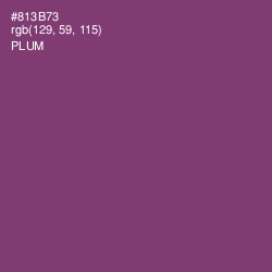 #813B73 - Plum Color Image