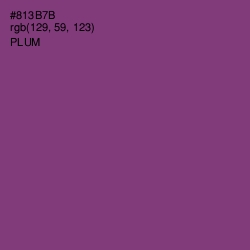 #813B7B - Plum Color Image