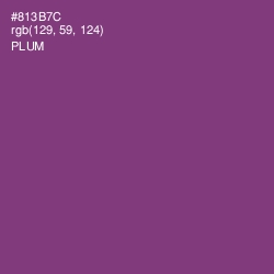 #813B7C - Plum Color Image