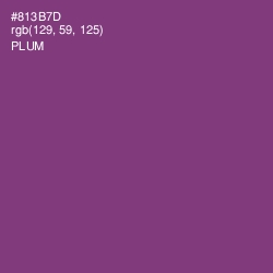 #813B7D - Plum Color Image