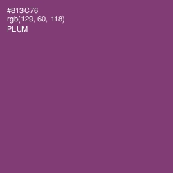 #813C76 - Plum Color Image